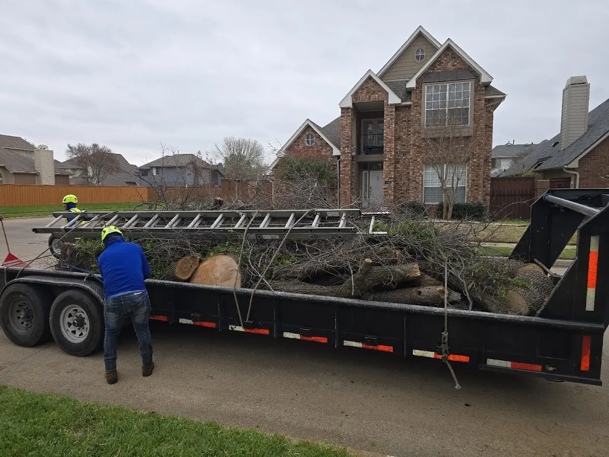 Expert Tree Fertilization with proper safety equipment in Jolo